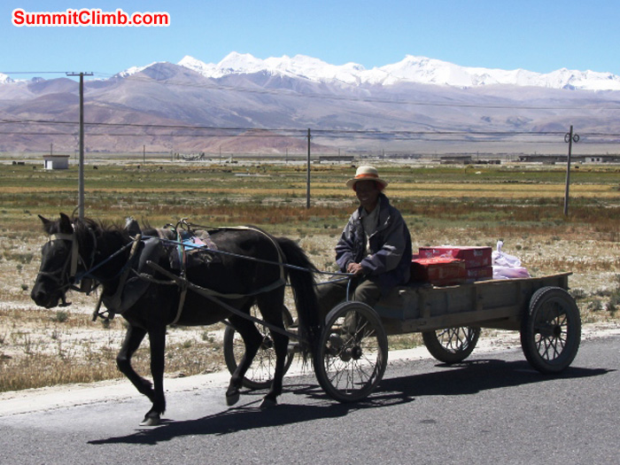 Horse cart in Tingri. Matti Sunell Photo