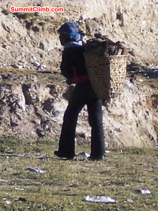 Local person carrying Yak Dung to be burned in a stove photo by James Grieve