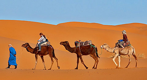 http://www.morocco-excursion.com