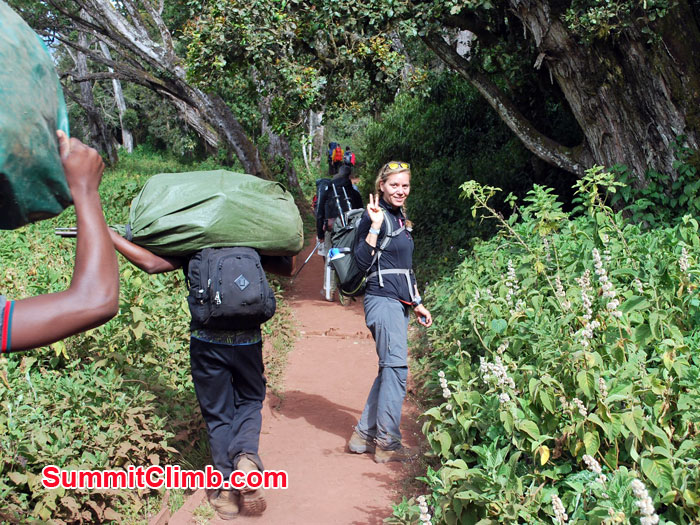 Jungle safari while Kilimanjaro expedition